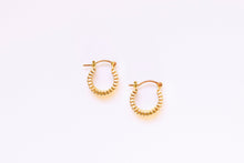 Load image into Gallery viewer, Alli Hoops