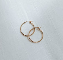 Load image into Gallery viewer, Lively Hoops