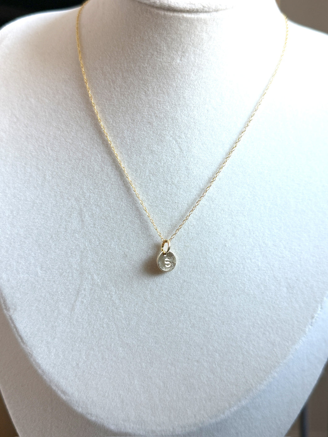 Gold-filled “S” pendant Necklace